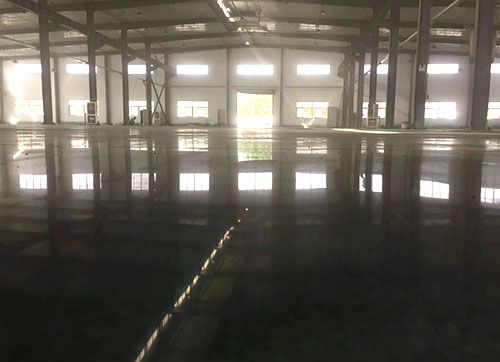 聚势向新 质引未来丨紫荆花新材料集团助力上海绿色涂料行业新发展